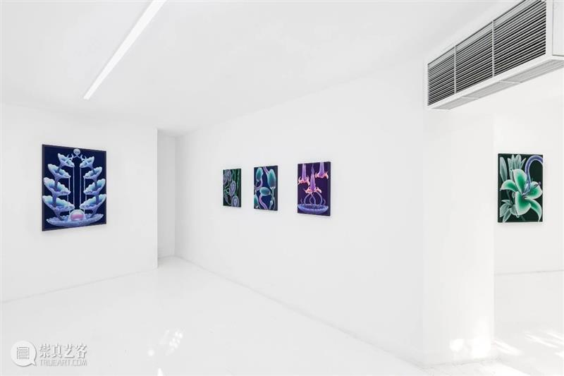 胶囊上海 | 梅夫拉纳·利普: 触觉记忆 | 展览现场 视频资讯 CapsuleShanghai 崇真艺客